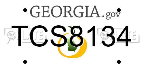 TCS8134 Georgia License Plate
