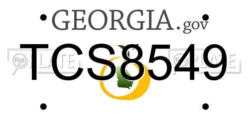 TCS8549 Georgia License Plate