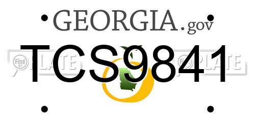 TCS9841 Georgia License Plate