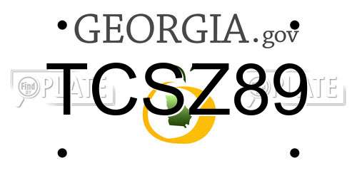 TCSZ89 Georgia License Plate