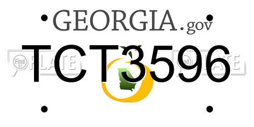 TCT3596 Georgia License Plate