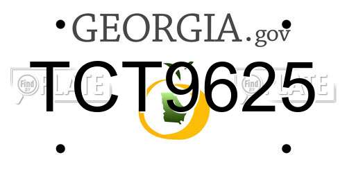 TCT9625 Georgia License Plate