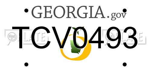 TCV0493 Georgia License Plate