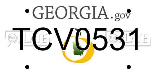 TCV0531 Georgia License Plate