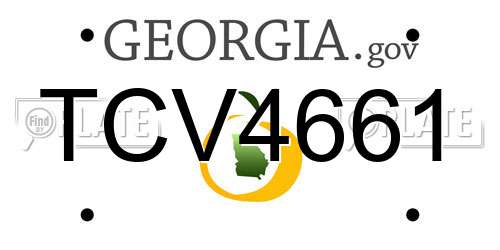 TCV4661 Georgia License Plate