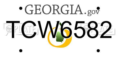 TCW6582 Georgia License Plate
