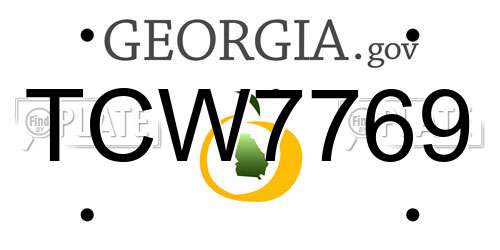TCW7769 Georgia License Plate