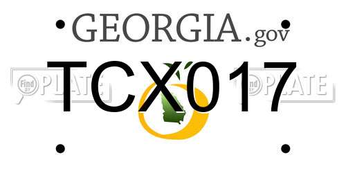 TCX017 Georgia License Plate
