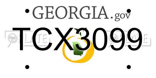 TCX3099 Georgia License Plate