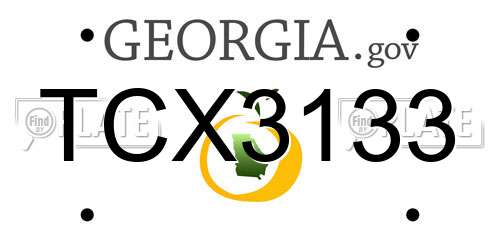 TCX3133 Georgia License Plate