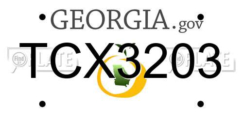 TCX3203 Georgia License Plate