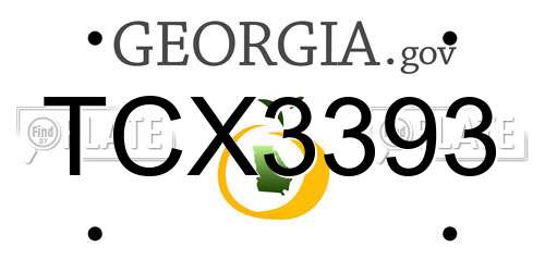 TCX3393 Georgia License Plate