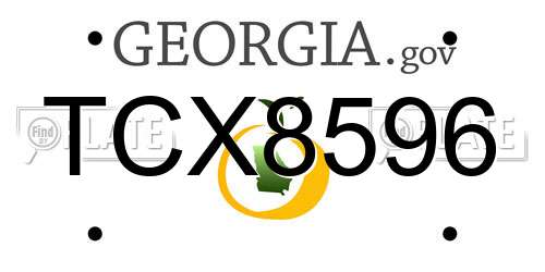 TCX8596 Georgia License Plate