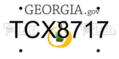 TCX8717 Georgia License Plate