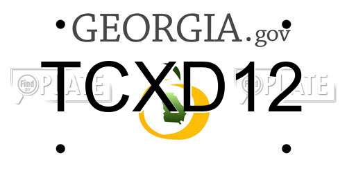 TCXD12 Georgia License Plate