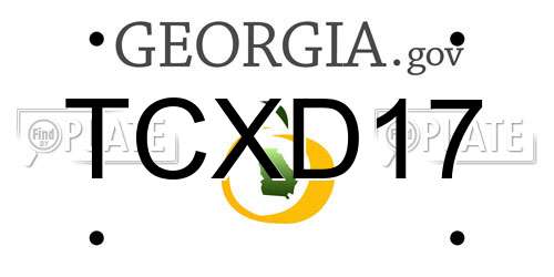 TCXD17 Georgia License Plate