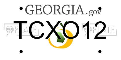 TCXO12 Georgia License Plate