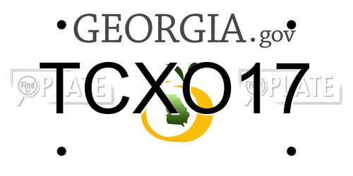 TCXO17 Georgia License Plate