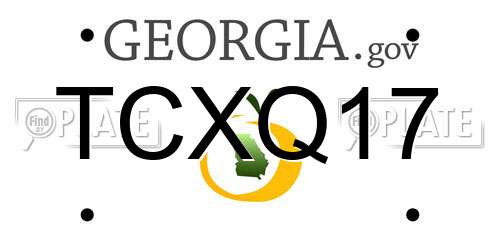 TCXQ17 Georgia License Plate
