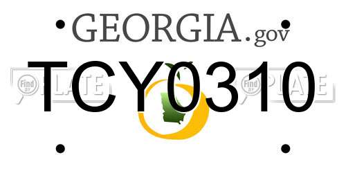 TCY0310 Georgia License Plate