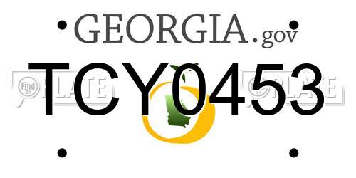 TCY0453 Georgia License Plate
