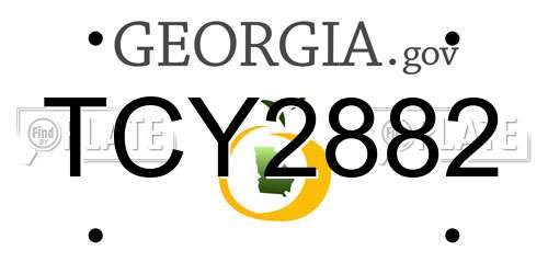 TCY2882 Georgia License Plate