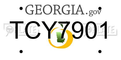 TCY7901 Georgia License Plate