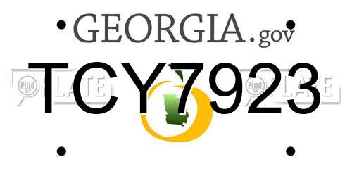 TCY7923 Georgia License Plate