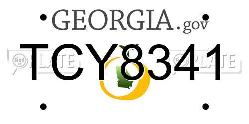 TCY8341 Georgia License Plate