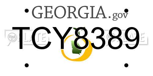 TCY8389 Georgia License Plate