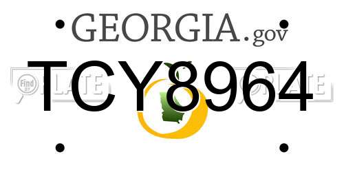 TCY8964 Georgia License Plate