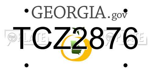 TCZ2876 Georgia License Plate