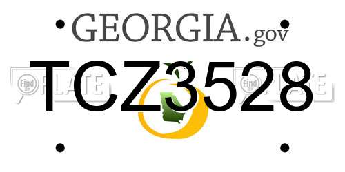 TCZ3528 Georgia License Plate