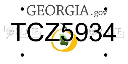TCZ5934 Georgia License Plate