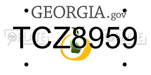 TCZ8959 Georgia License Plate