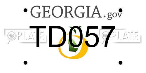 TD057 Georgia License Plate