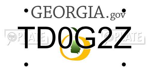 TD0G2Z Georgia License Plate