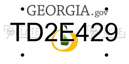 TD2E429 Georgia License Plate
