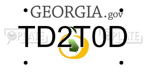 TD2T0D Georgia License Plate