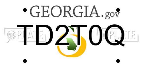 TD2T0Q Georgia License Plate