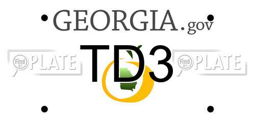 TD3 Georgia License Plate