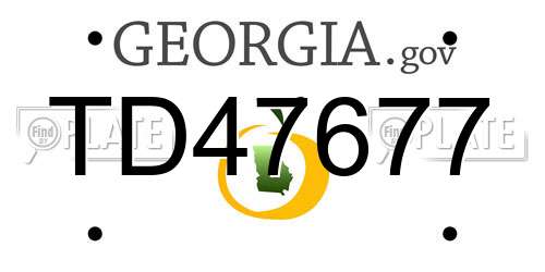 TD47677 Georgia License Plate