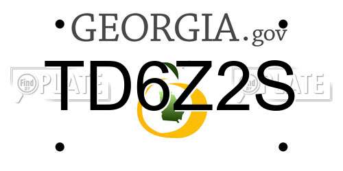 TD6Z2S Georgia License Plate