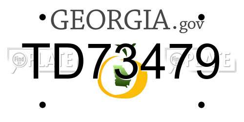 TD73479 Georgia License Plate