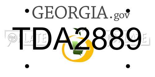 TDA2889 Georgia License Plate
