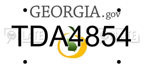 TDA4854 Georgia License Plate