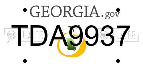 TDA9937 Georgia License Plate