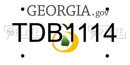 TDB1114 Georgia License Plate