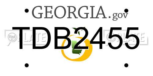 TDB2455 Georgia License Plate