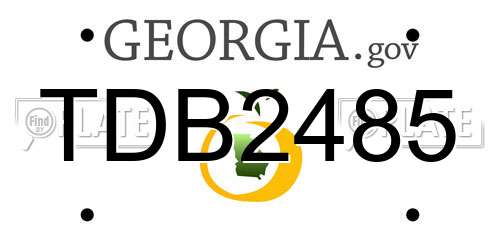 TDB2485 Georgia License Plate